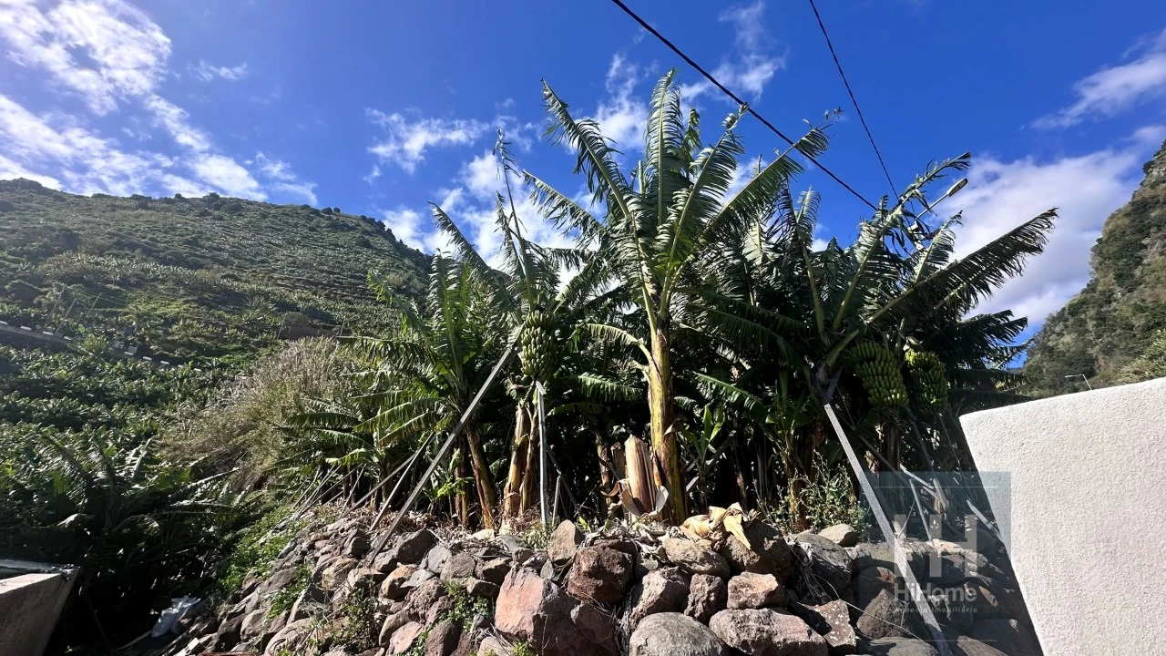 Terreno para Venda em Madalena do Mar Foto 24