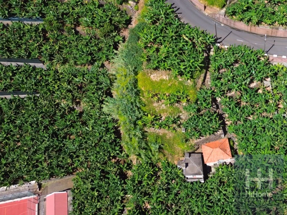 Terreno para Venda em Madalena do Mar Foto 6