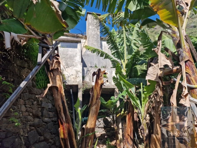 Terreno para Venda em Madalena do Mar Foto 12