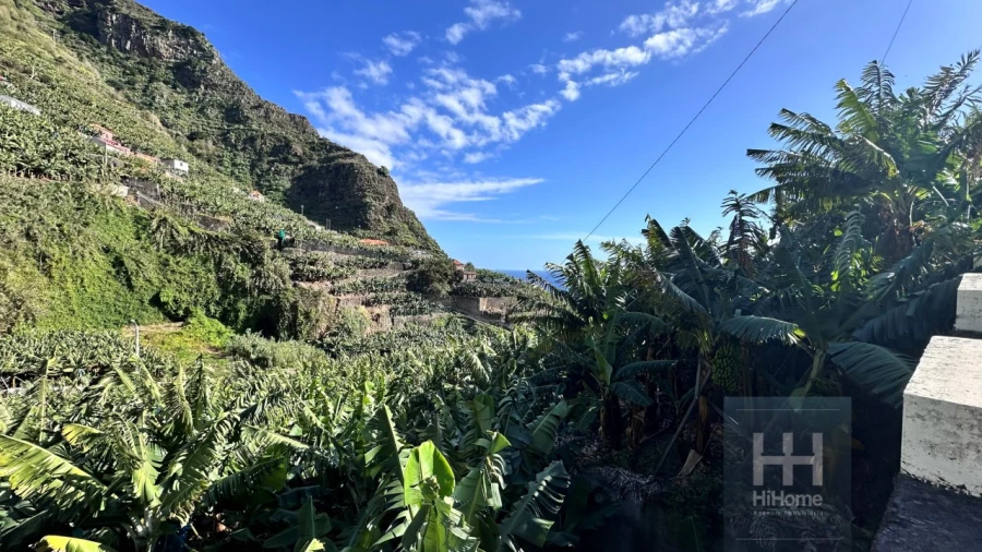 Terreno para Venda em Madalena do Mar Foto 27