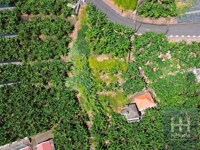 Terreno para Venda em Madalena do Mar Foto 3