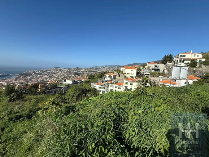 Terreno para Venda em Funchal (Santa Maria Maior) Foto 5