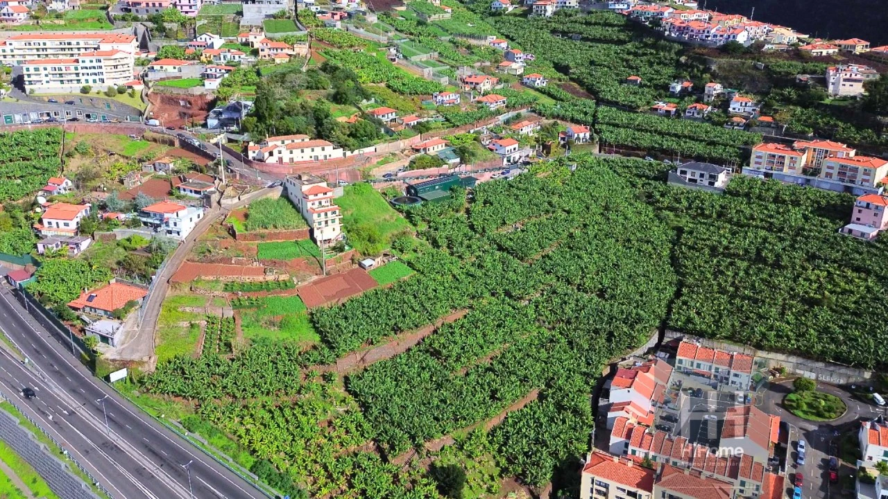 Terreno para Venda em Camara de Lobos Foto 5