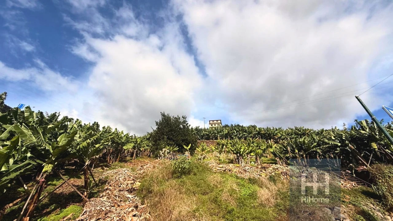 Terreno para Venda em Camara de Lobos Foto 6