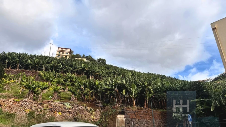 Terreno para Venda em Camara de Lobos Foto 9