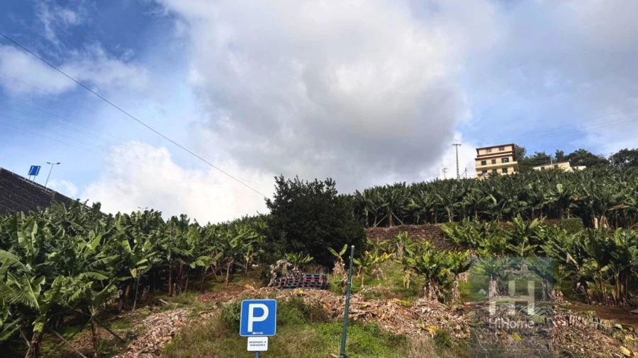 Terreno para Venda em Camara de Lobos Foto 10