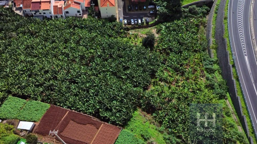Terreno para Venda em Camara de Lobos Foto 15