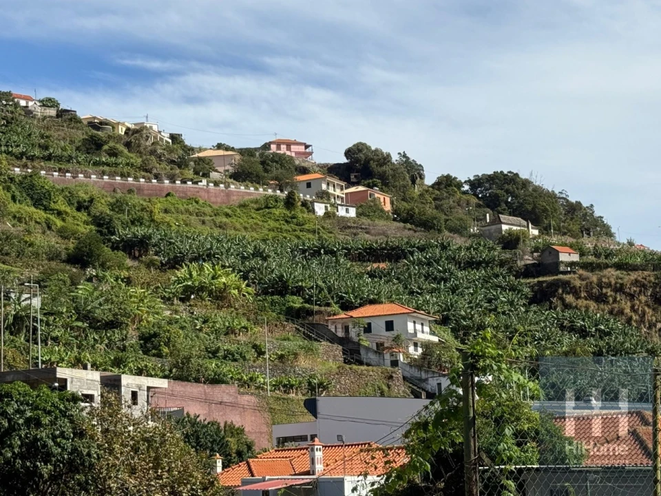 Terreno para Venda em Santa Cruz Foto 6