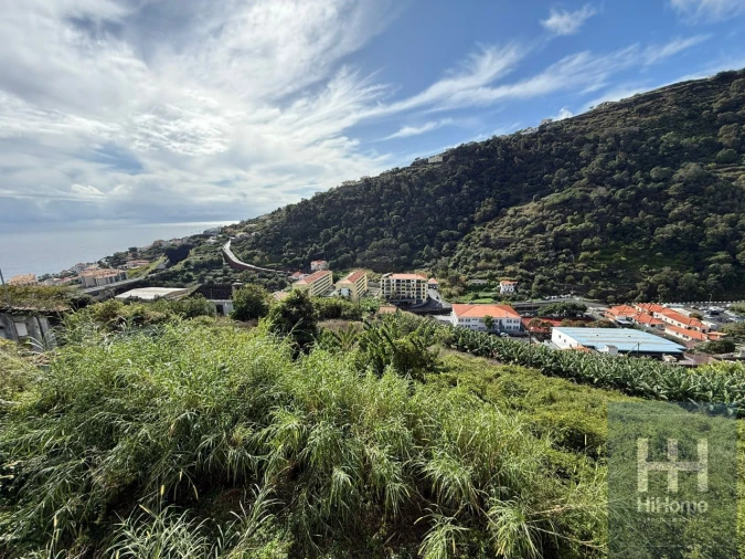Terreno para Venda em Santa Cruz Foto 5