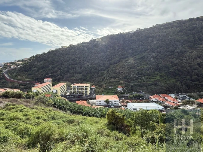 Terreno para Venda em Santa Cruz Foto 8