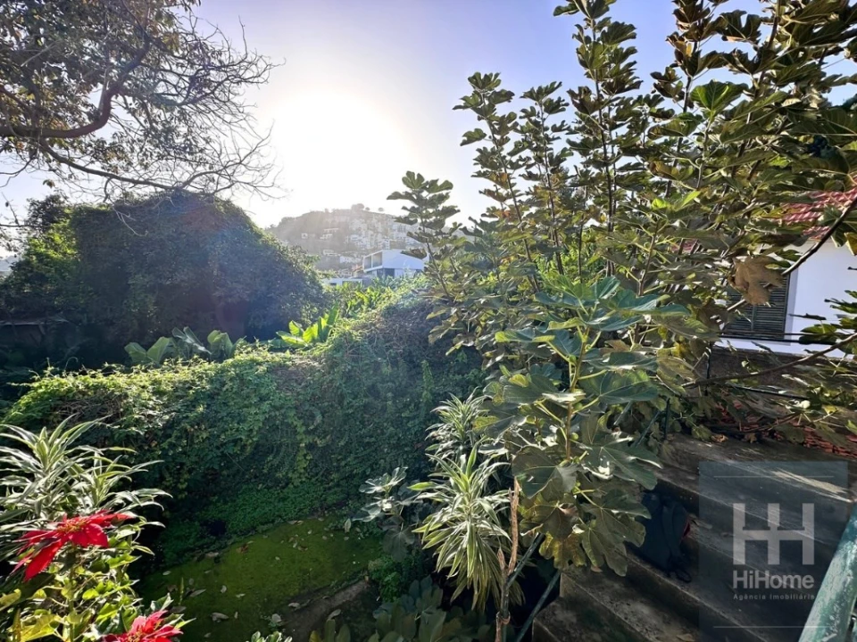 Terreno para Venda em Santo Antonio Foto 23