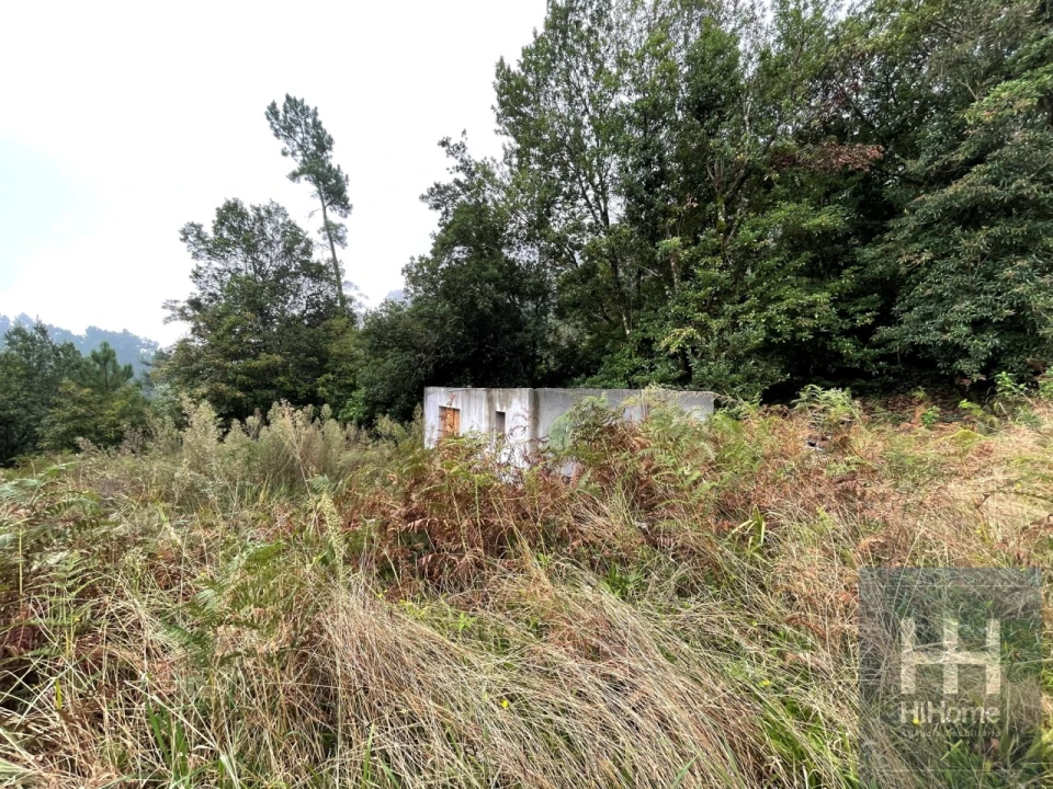 Terreno para Venda em São Vicente Foto 4