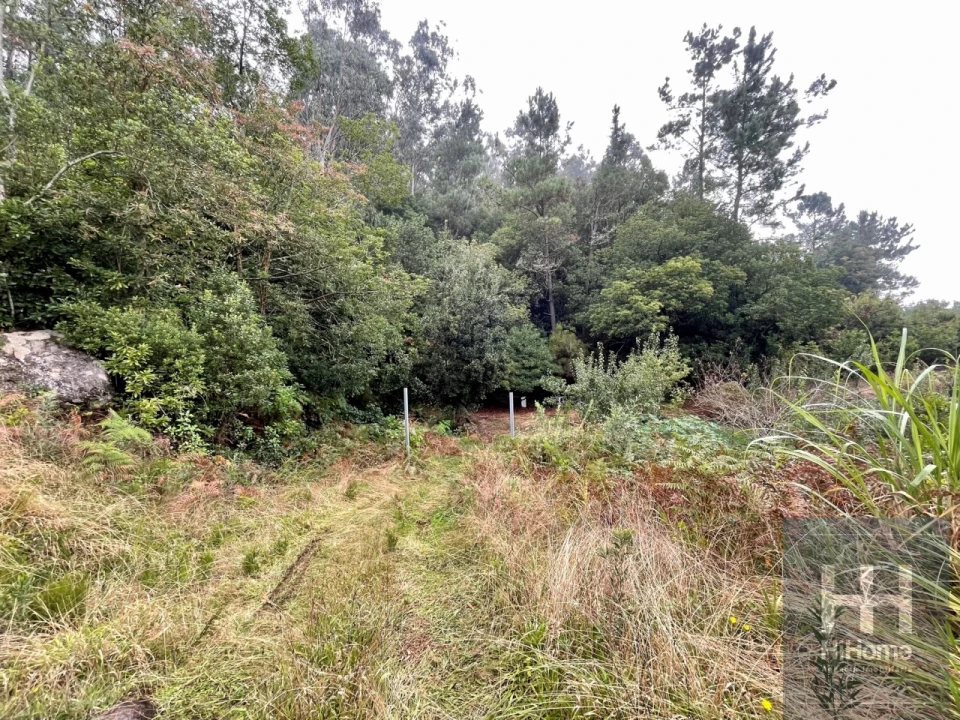 Terreno para Venda em São Vicente Foto 5