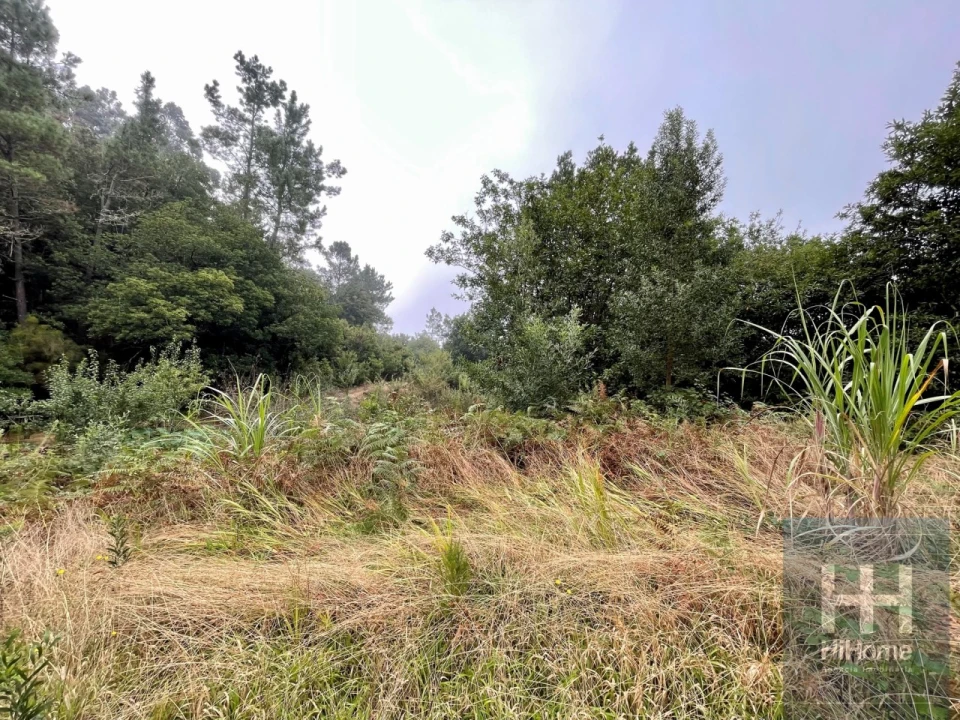 Terreno para Venda em São Vicente Foto 6