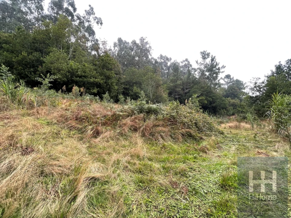 Terreno para Venda em São Vicente Foto 8