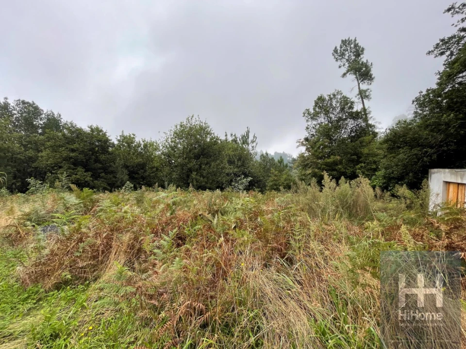 Terreno para Venda em São Vicente Foto 9