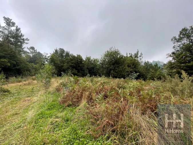Terreno para Venda em São Vicente