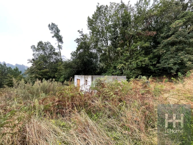Terreno para Venda em São Vicente Foto 3