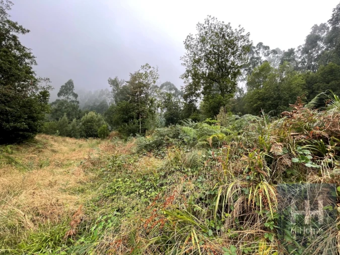 Terreno para Venda em São Vicente Foto 7