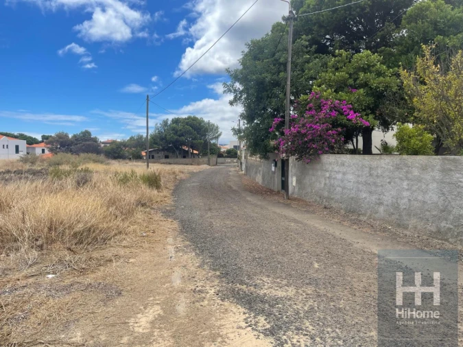 Terreno para Venda em Porto Santo Foto 2