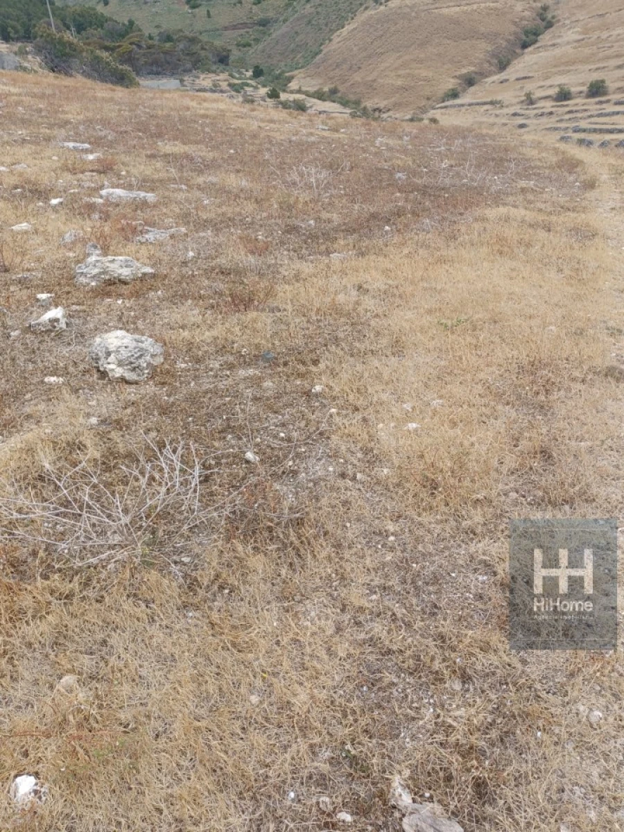 Terreno para Venda em Porto Santo Foto 6