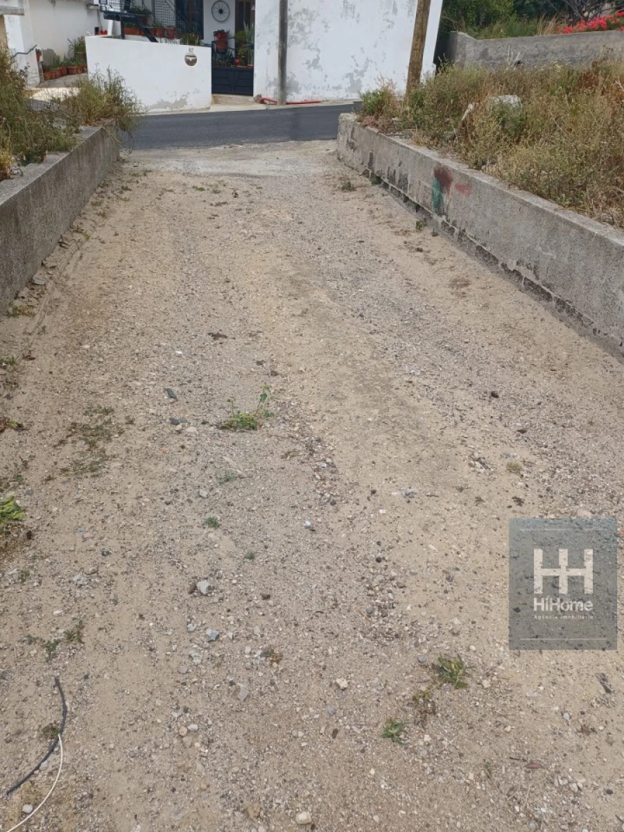 Terreno para Venda em Porto Santo Foto 9