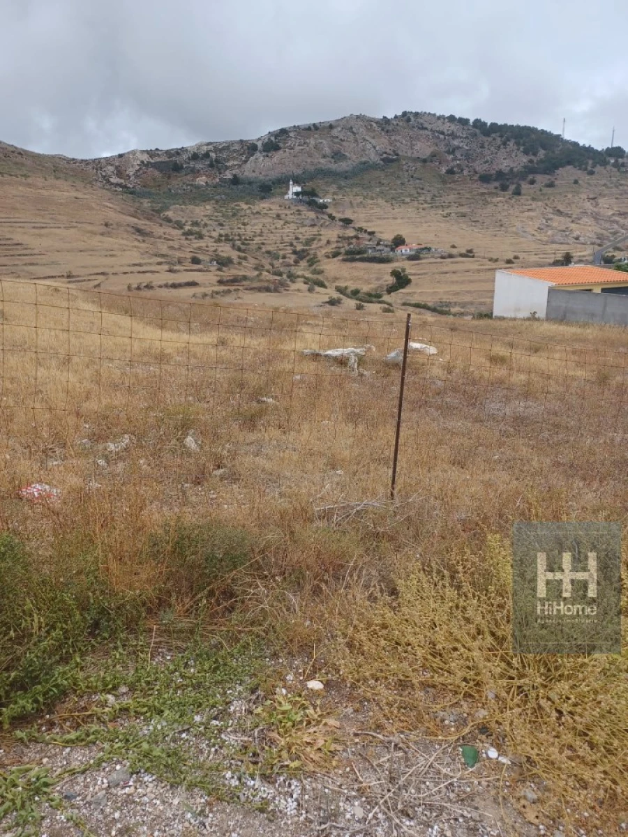 Terreno para Venda em Porto Santo Foto 10