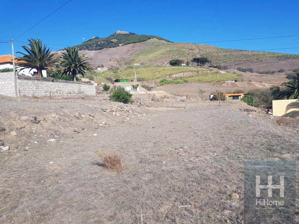 Terreno para Venda em Porto Santo Foto 5