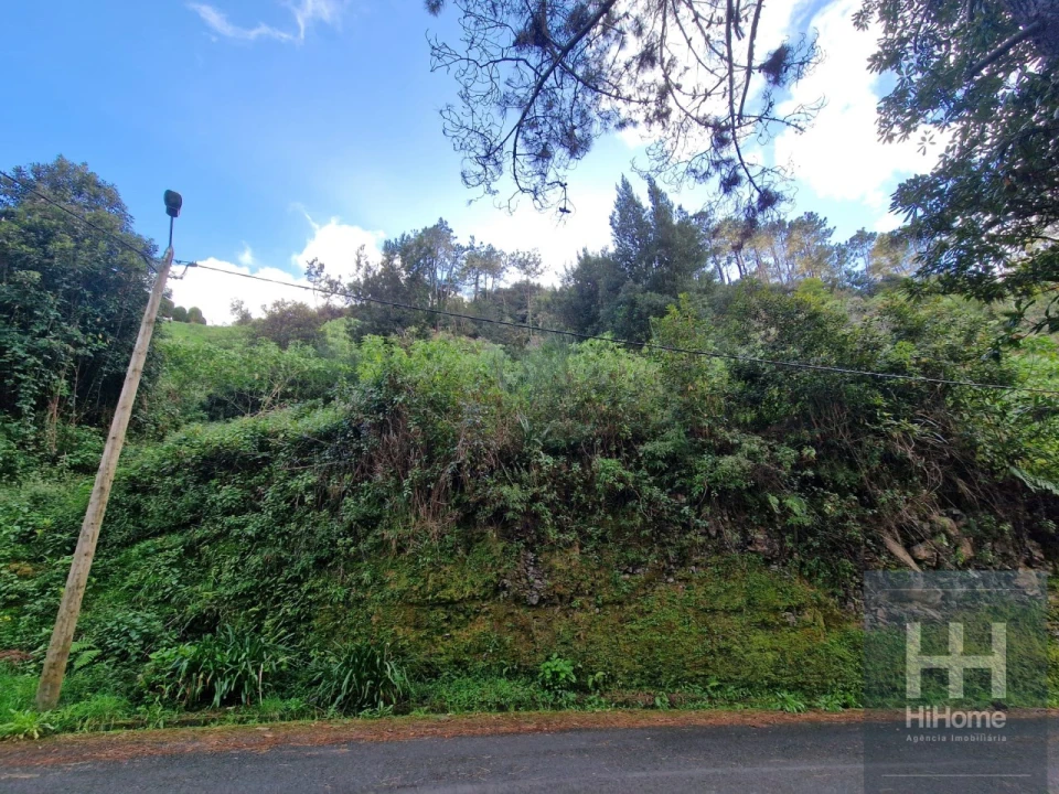 Terreno para Venda em Ilha Foto 6