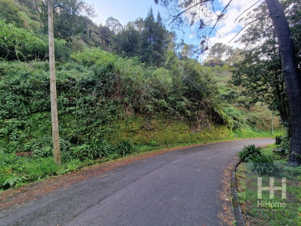 Terreno para Venda em Ilha Foto 8