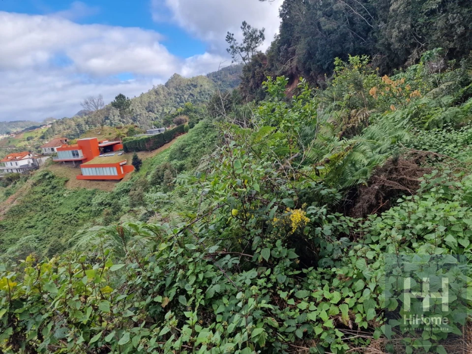 Terreno para Venda em Ilha Foto 3
