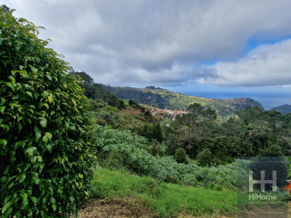 Terreno para Venda em Ilha Foto 10