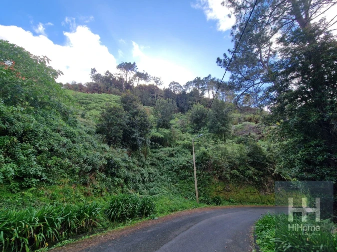 Terreno para Venda em Ilha Foto 7