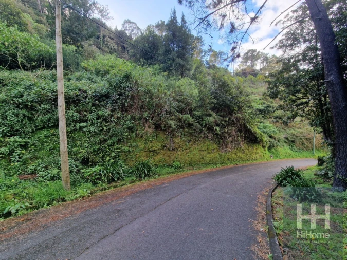Terreno para Venda em Ilha Foto 8