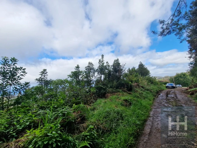 Terreno para Venda em Ilha Foto 9
