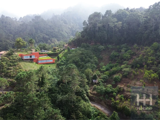 Terreno para Venda em Santana Foto 26