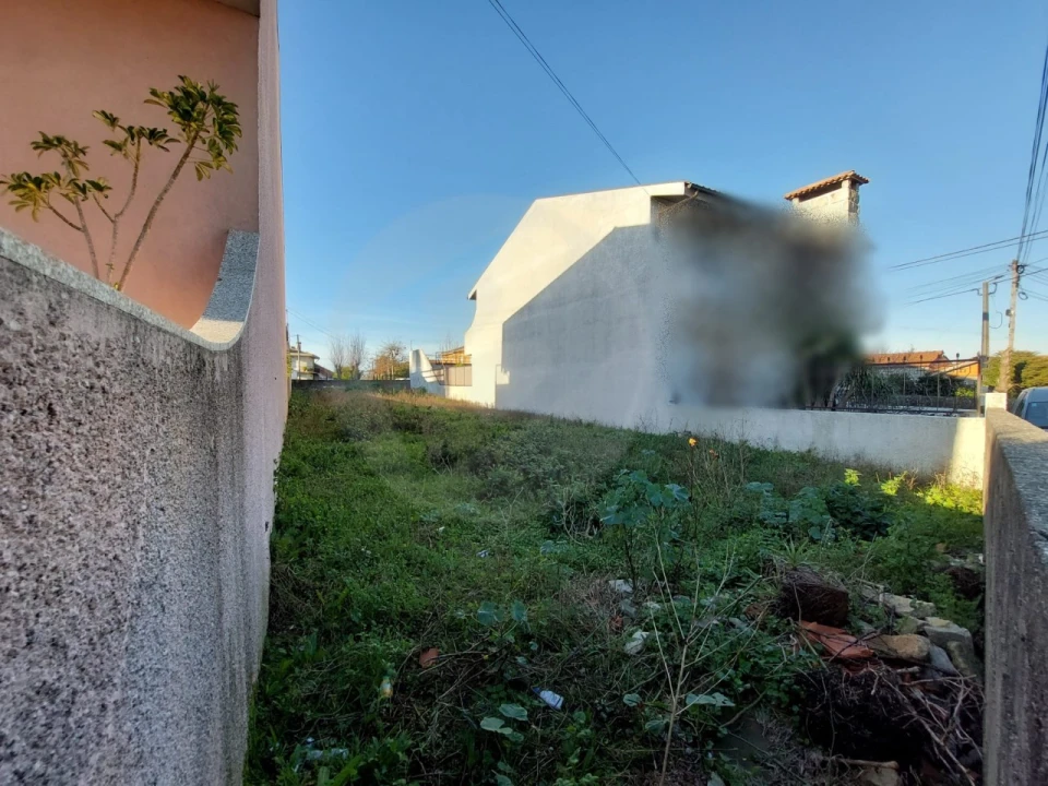 Terreno para Venda em Junqueira Foto 10