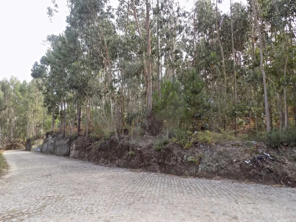 Terreno para Venda em Touguinha e Touguinhó Foto 2