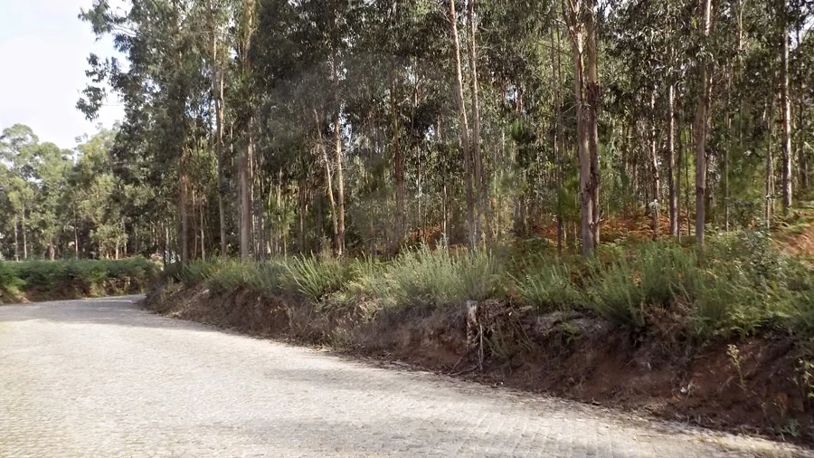 Terreno para Venda em Touguinha e Touguinhó