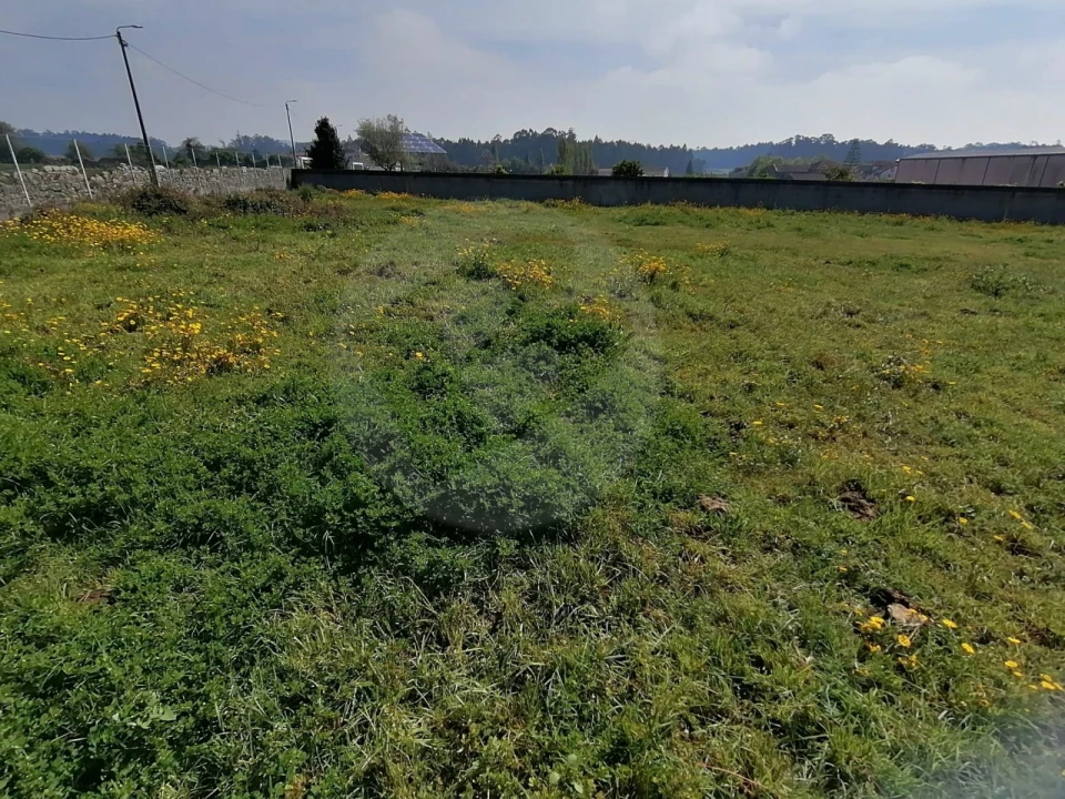 Terreno para Venda em Gião Foto 2