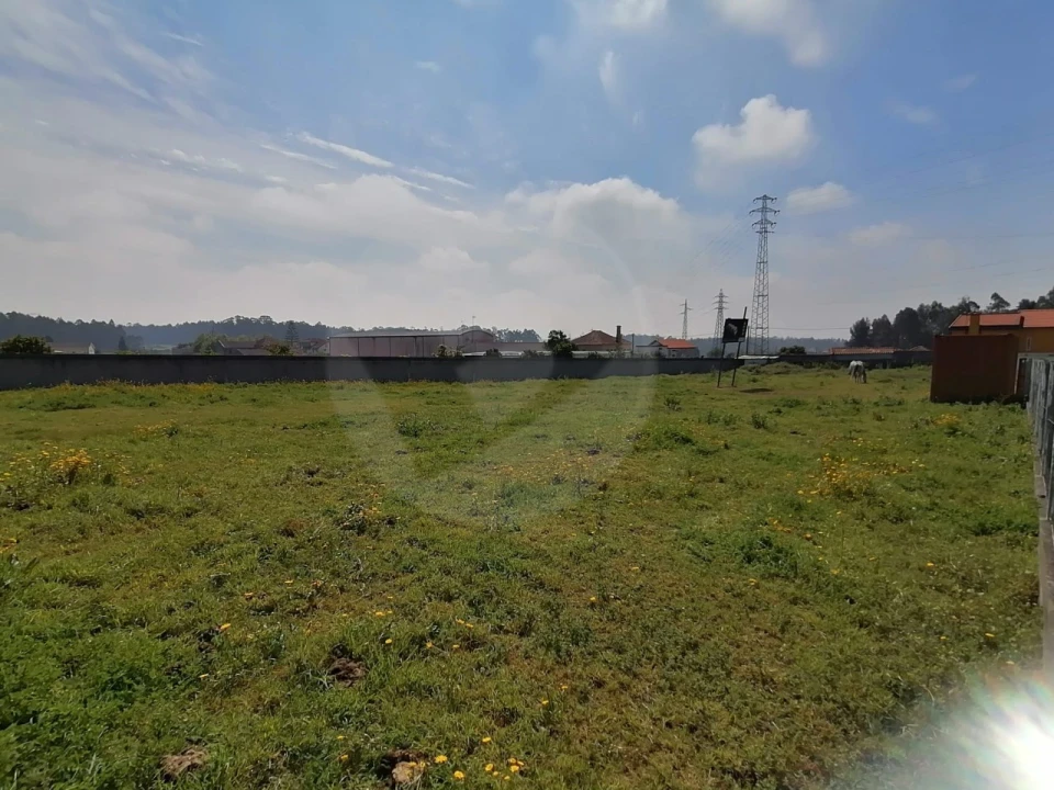 Terreno para Venda em Gião Foto 12