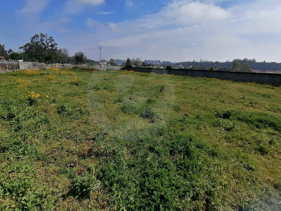 Terreno para Venda em Gião Foto 13