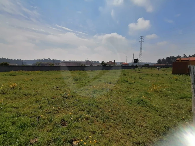 Terreno para Venda em Gião Foto 3