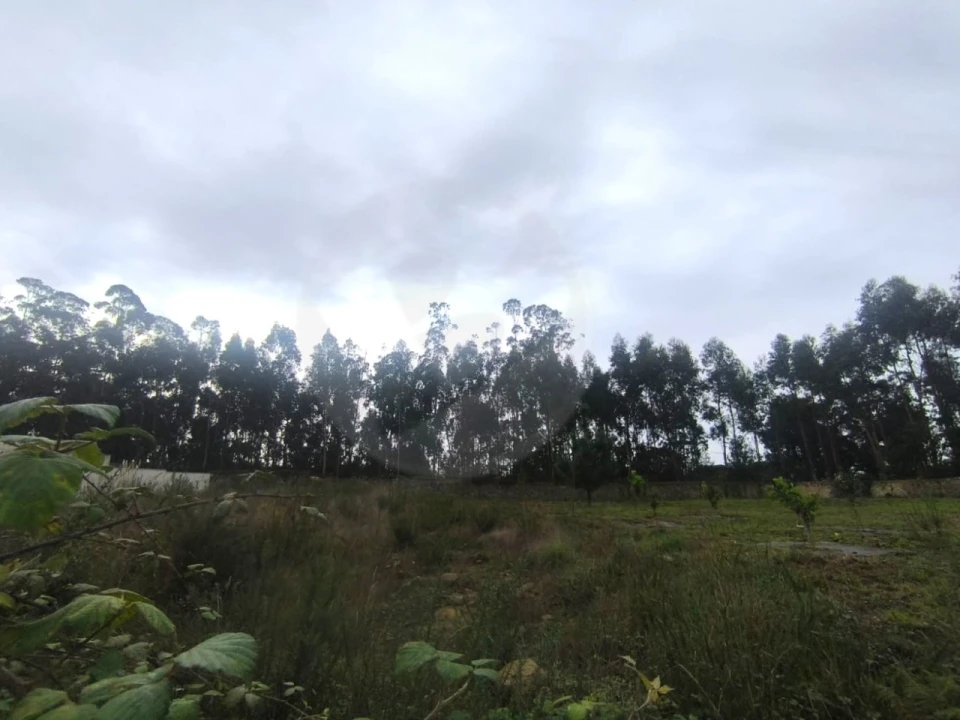 Terreno para Venda em Póvoa de Varzim, Beiriz e Argivai Foto 8