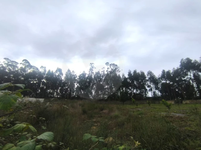 Terreno para Venda em Póvoa de Varzim, Beiriz e Argivai Foto 25