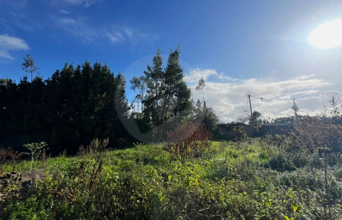 Terreno para Venda em Retorta e Tougues Foto 29