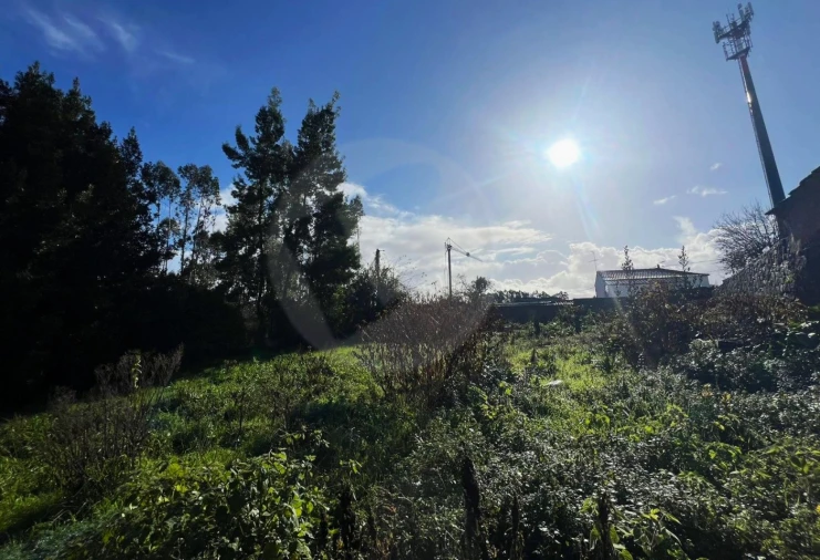 Terreno para Venda em Retorta e Tougues Foto 22