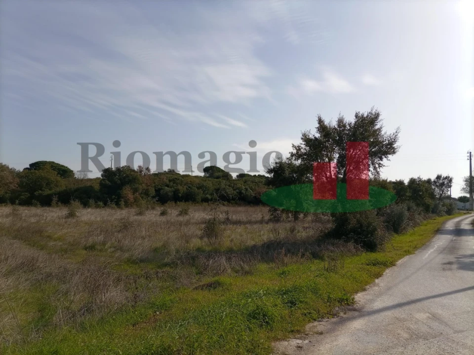 Terreno para Venda em Almoster Foto 4