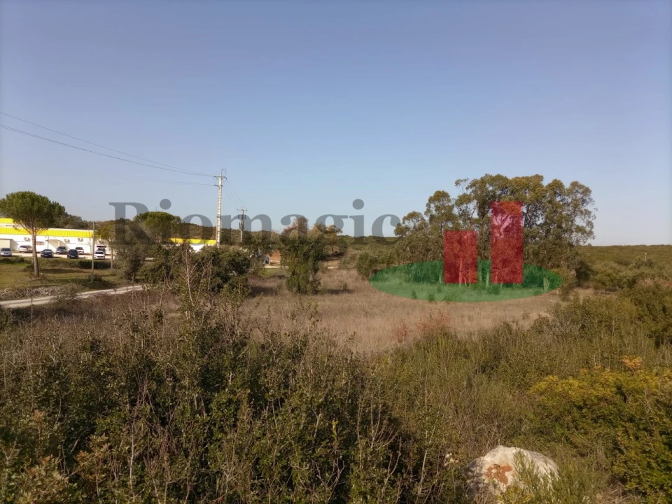 Terreno para Venda em Almoster Foto 11