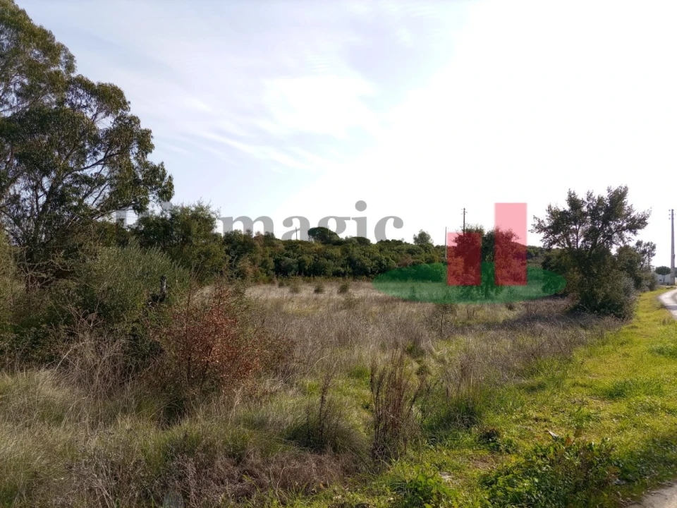 Terreno para Venda em Almoster Foto 12